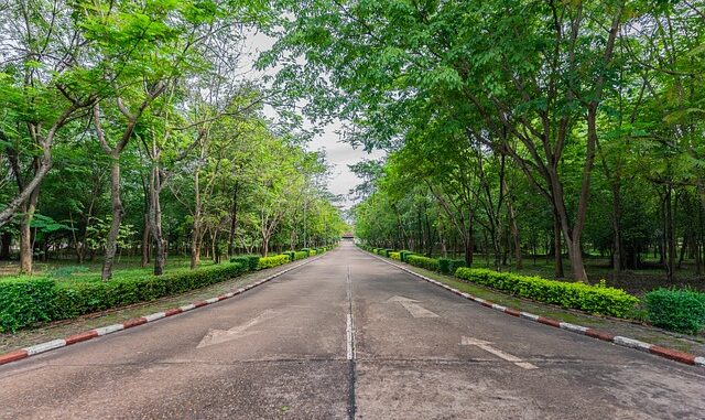 Yalıkavak’ta Yaz Trafiğine Yönelik Yeni Çözümler Yalıkavak’ta Yaz Trafiğine Yönelik Yeni Çözümler